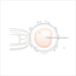 세포 일러스트 01