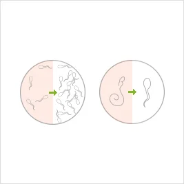 세포 일러스트 03